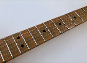 Fender Telecaster (1969) (80359)