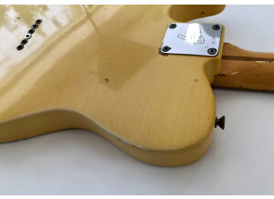 Fender Telecaster (1969) (17724)