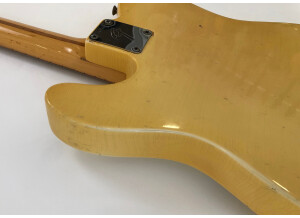 Fender Telecaster (1969) (1669)