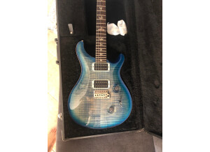 PRS Custom 24 Birds 10-Top (47504)