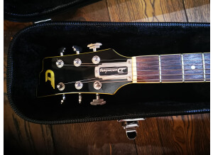 Duesenberg Carl Carlton (71446)