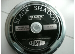 Celestion black shadow C90