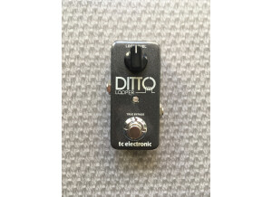 TC Electronic Ditto Looper (52413)