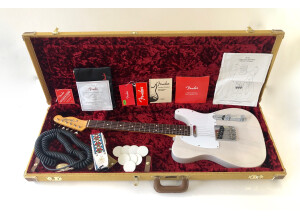 Fender Jimmy Page Mirror Telecaster (59342)