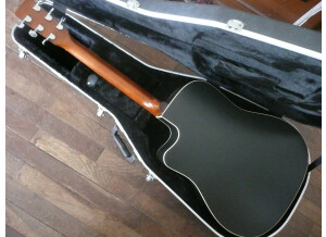 Elypse Guitars CW (46465)