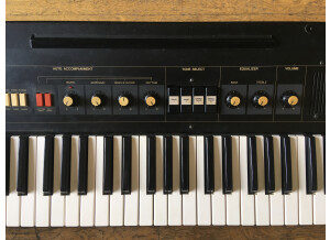 83AEDC24-5F86-44B4-A7BC-1969554506B4