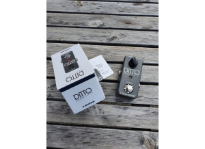 TC Electronic Ditto Looper (44207)