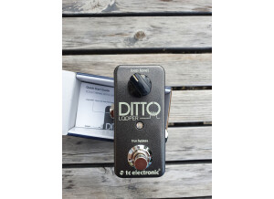 TC Electronic Ditto Looper (14368)