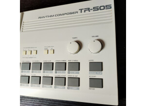Roland TR-505 (22855)