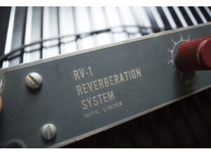 Furman RV-1 Reverberation System (12717)