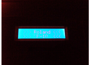 Roland XP-10 (24341)