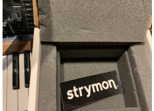 Strymon Magneto (64762)