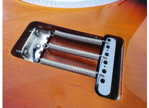 Fender John Mayer Stratocaster (54345)