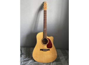 Seagull Performer CW Flame Maple QI