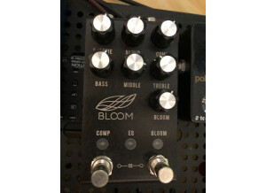 Jackson Audio Bloom V2