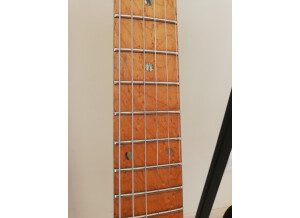 Fender Special Edition Lite Ash Telecaster (76906)