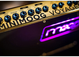 Moog Music Limited Edition 10th Anniversary Minimoog Voyager
