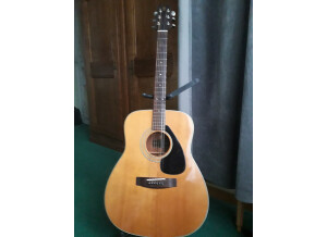 Yamaha FG-160 (73227)