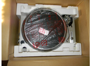 DSCN7988.JPG