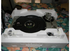 DSCN7987.JPG