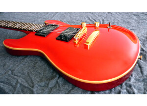 Fernandes APG-100 (62752)