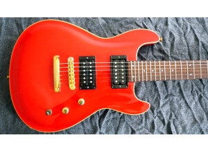 Fernandes APG-100 (35246)