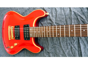 Fernandes APG-100 (78508)