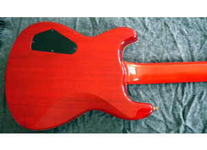 Fernandes APG-100 (16938)