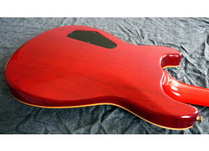 Fernandes APG-100 (10576)