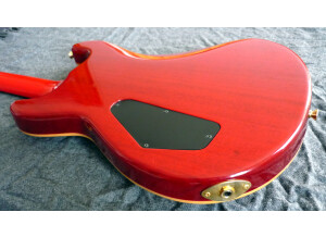 Fernandes APG-100 (29048)