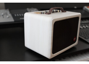 Zt Amplifiers Lunchbox Acoustic (14342)