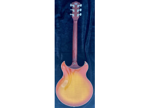 AEAA9AA1-F654-4511-9337-CF9627E256DD_1_201_a