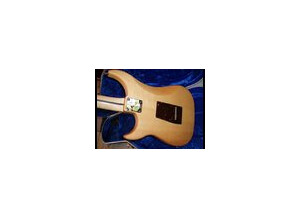 Vigier Excalibur Shawn Lane