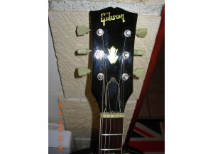 Gibson ES-335 TDC (66237)