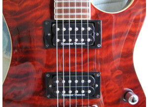 Elypse Guitars X500 Pro (41736)