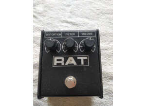 Rat Front