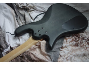 Spector corps verso 1.JPG