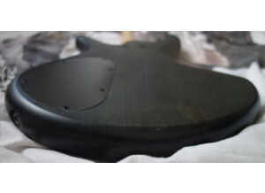 Spector corps incurvé.JPG