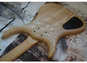 Schack Unique corps verso 1