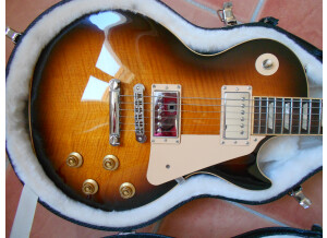 Gibson [Les Paul Series] Les Paul Standard 2008 Plus - Desert Burst
