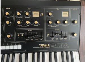 Yamaha CS20M