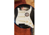 Plaque Stratocaster Fat 50's Pickups 