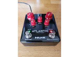 nUX Atlantic Delay & Reverb (862)