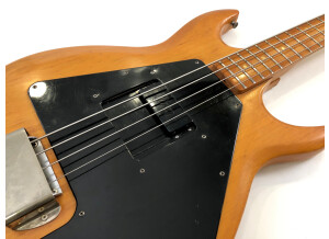 Gibson Grabber (98417)