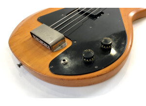 Gibson Grabber (77382)