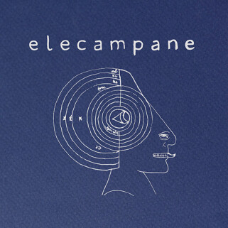 Elecampane - High Hopes