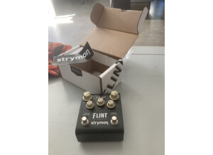 Strymon Flint (88109)