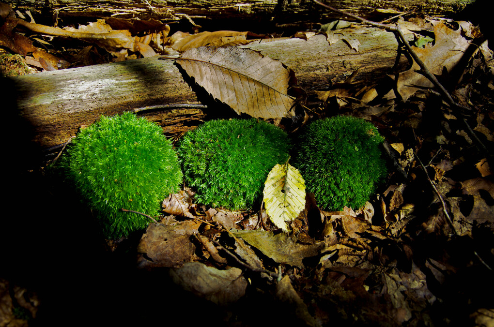 4887627.jpg 4887627.jpg