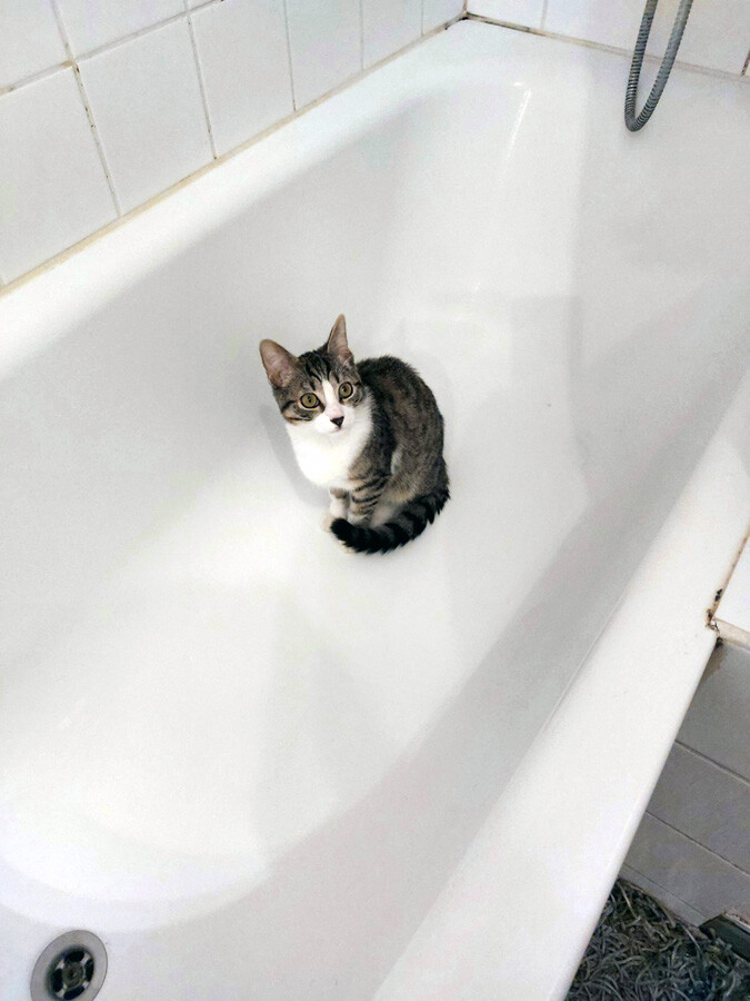 4889052.jpg 4889052.jpg