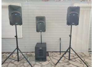 Mackie SRM450 (3454)